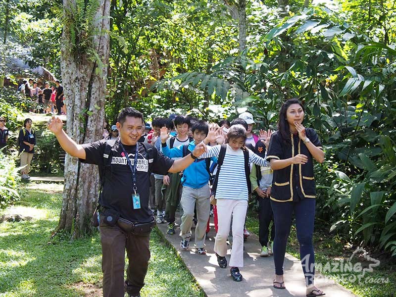 Education Programme - Best of Sabah (Full Board) - Amazing Borneo Tours